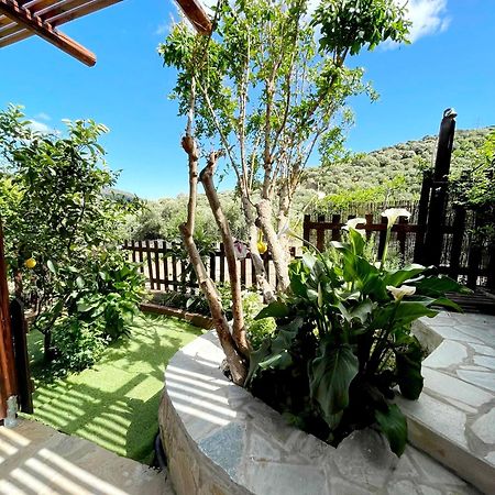 Platipodi Stone House Villa Nikithianos Екстериор снимка